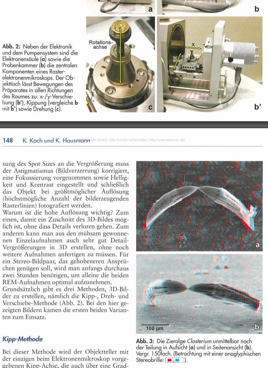 3D Bilder aus dem REM